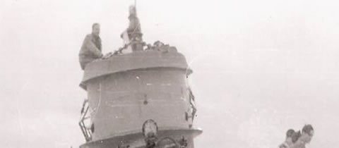 El U515